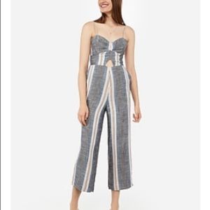Striped Bodice Culotte Jumpsuit from Express